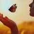 Davit Barqaia Butterfly Original Mix