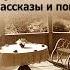 Павлов Чехов Антонич Три года Рассказы и повести