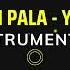 RUTH PALA YESU INSTRUMENTAL