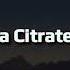 Sparta Citrate Base REUPL