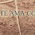 Nadie Te Ama Como Yo