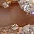 Moissanite Vs Diamond Rose Gold Nature Inspired Engagement Rings Anani