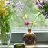 Slow Living Vlog Rhubarb Cake New Family Member Summer Garden Moments