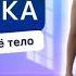 СТАТИЧЕСКИЕ УПРАЖНЕНИЯ Тренировка на всё тело