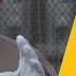 Don T Do This High Voltage For The Home Shop Season 1 Episode 1