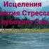 Шум дождя для Исцеления Снятия Стресса Глубокого Сна