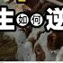 超幹貨 中國乳業秘史一 蒙牛vs伊利 牛根生如何逆襲鄭俊懷 非法集資 廣告牌被砸竟成爆紅密碼 揭秘中國乳業的資本遊戲與營銷大戰