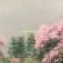 Maule Mere Love Maulamere Lovesong Music