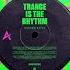 Andrew Rayel Trance Is The Rhythm