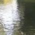 Baptism Jordan River Israel Tour