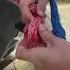 Built In Soft Shackles On Both Ends AGM Rapid Rope