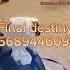 4 Evade Music Codes 2025 Part 2 Roblox Evade Music Boombox