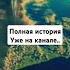 МЕРТВОЕ НАДО ПОХОРОНИТЬ А БОЛЬНОЕ ВЫЛЕЧИТЬ 2 Автор Дневник историй мистика рассказы