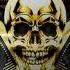 Martin Garrix Animals SKULL Trap Remix Bass Boosted TikTok