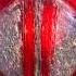 Destroid Funk Hole Destroid Music