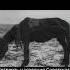 Голод в Советском Союзе ссср сталин коммунисты история History хроника Stalin