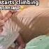 Fraulein 1st Try Climbing Failed Hahahaha