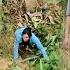 Full Video Of The Days The Girl Fell Into The Abyss Making Everyone Worried And Searching
