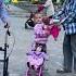 Little Girl Sweet Gesture Brightens Elderly Man S Day Shorts