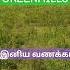 8star Greenhills Superhit