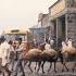 Exploring Merkato In 1953 Addis Ababa S Iconic Market Through Vintage Film