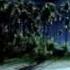 Kitani He Bekarari Chanda Ki Chandani Beautiful Love Song