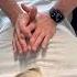 INSANE Mid Back Cracks FOLLOW For The Best Authentic Chiropractic Content Viral Fyp Funny