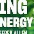 Guided Meditation Clearing Foreign Energy Jeffrey Allen
