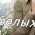 Юрий Шатунов От Белых Роз