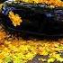 BLVCK BANG Audi Bodiev Music Black Auto Top Car