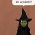 I M A Witch And I M A Bitch