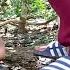 Wik Wik Di Hutan Wik Wik Benaran