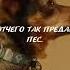 Отчего так предан Пес Валентин Гафт