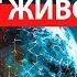 Быть открытым боли значит жить Дизайн Человека Меркурий