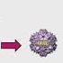 Basics Of AAV Gene Therapy