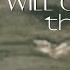 His Grace Will Carry You Full Album Songs Of Wisdom