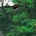 AMV Nightcore Akame Ga Kill