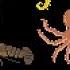 Animals Under The Sea Book Version Whale Lobster Octopus More The Kids Picture Show
