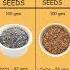 Chia Seeds Vs Flax Seeds