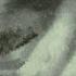 Overtonight Comfort Song 4 U Official Visualizer
