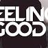 Avicii Feeling Good