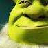 Shrek S Ogre Version Of Christmas Shrek The Halls 2007 Family Flicks