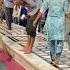 Sri Harmandir Sahib Sewa Harmandirsahib Amritsar Trending Viralvideo Shorts Waheguru