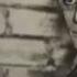 The People Vs Leo Frank