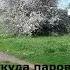 Откуда паровоз брал воду Shorts