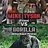 Mike Tyson Vs Silverback Gorilla