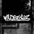 Scantraxx 040 The Masochist LDMF Wildstylez RMX HQ
