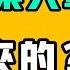 新的失業大軍 哪裡來的 中國2000多家電視台倒閉 收視率基本為0 該恐慌了 兩會提出的這兩條簡直是挑戰智商極限 給狗起名叫 城管 直接算犯罪 七七叭叭TALK 提神醒腦223 20250306