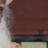 Sadhguru Talks About His Guru