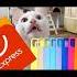 айфон реклама аплодисменты мем кошки Shorts айфон